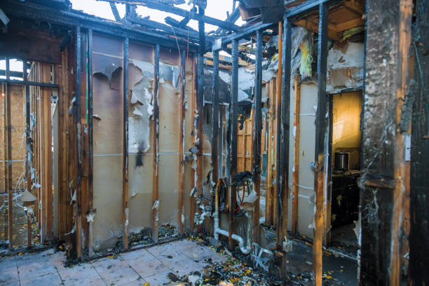 Professional Fire Damage Removal technician working in Nashville, MI